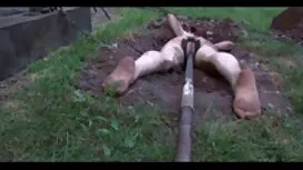 Дівчина, яка порно м ...